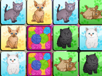 Cats Memo