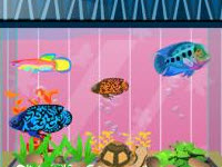 Fish Tank Decoration