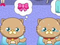 Pet Makeover