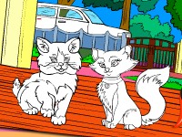 Pet World